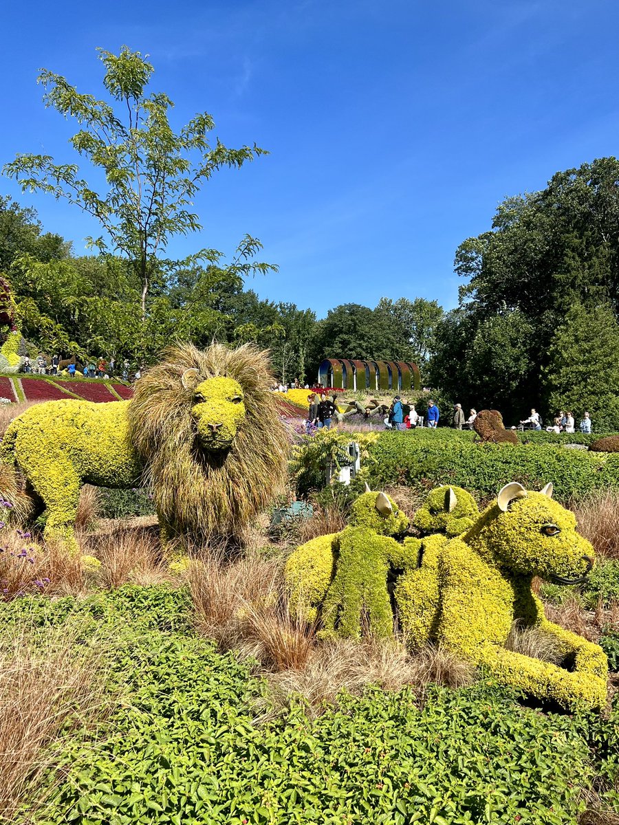 JulienTOPPAN's tweet photo. Exposition @Mosaicultures 2022 à @villequebec jusqu’au 10 octobre: Il était une fois…la Terre 🌍 au Parc-du-Bois-de-Coulonge https://t.co/0AB4jqaBvc