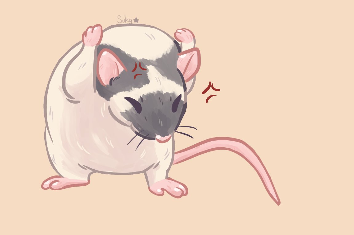 Sukiyama's tweet photo. This ratto is done....
Special thanks to Courtney Beatty for this awesome picture
#ratmeme #rat #cuteart https://t.co/8kDB1GkDFn