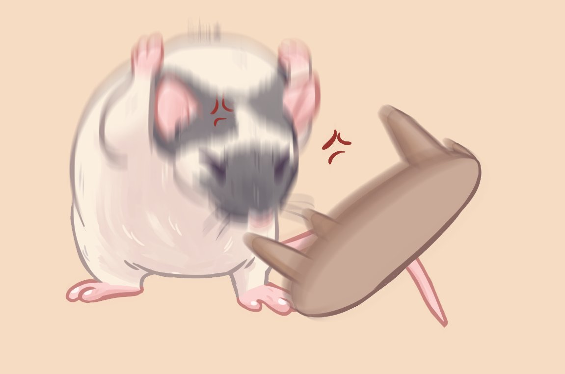 Sukiyama's tweet photo. This ratto is done....
Special thanks to Courtney Beatty for this awesome picture
#ratmeme #rat #cuteart https://t.co/8kDB1GkDFn