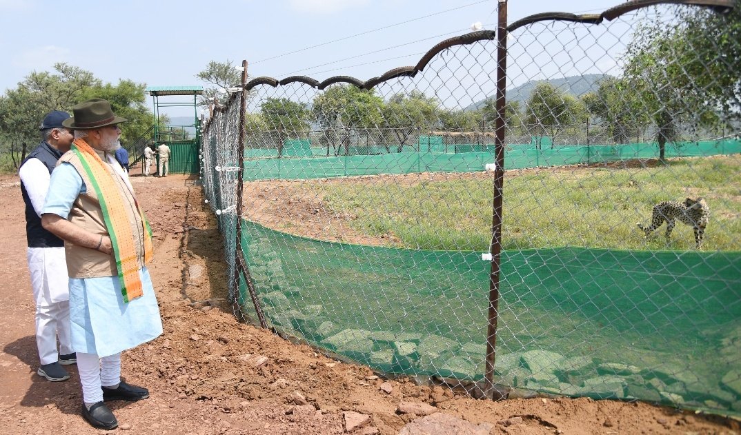 fcbpratyush's tweet photo. Wishing our PM Hon. Shri. @narendramodi a very happy and healthy birthday.
#HappyBdayModiji
And also thanks for making this day memorable as India celebrates the return of Cheetah after more than 70 years. 
#missioncheetah https://t.co/rWZmwEEF3T