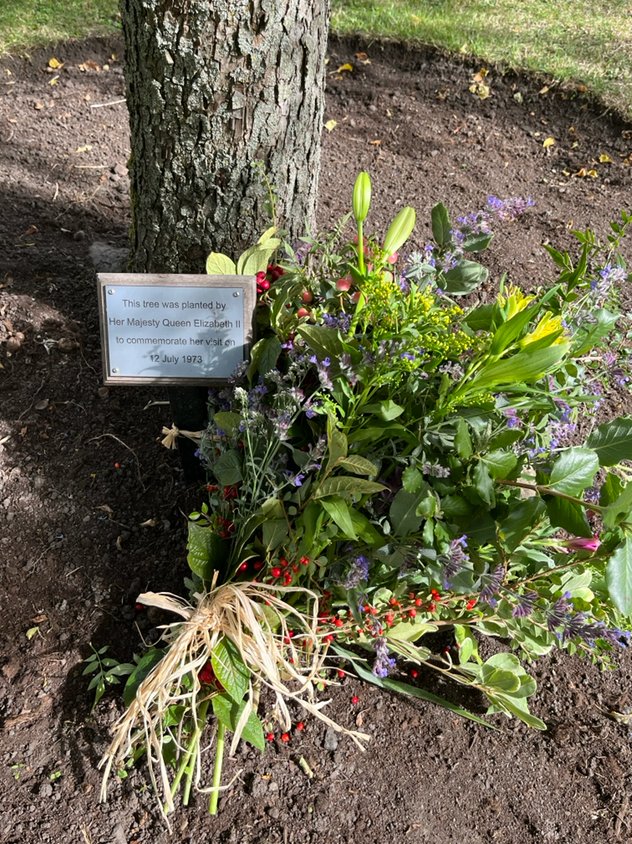 Haddington Garden (@haddingtongardn) on Twitter photo 