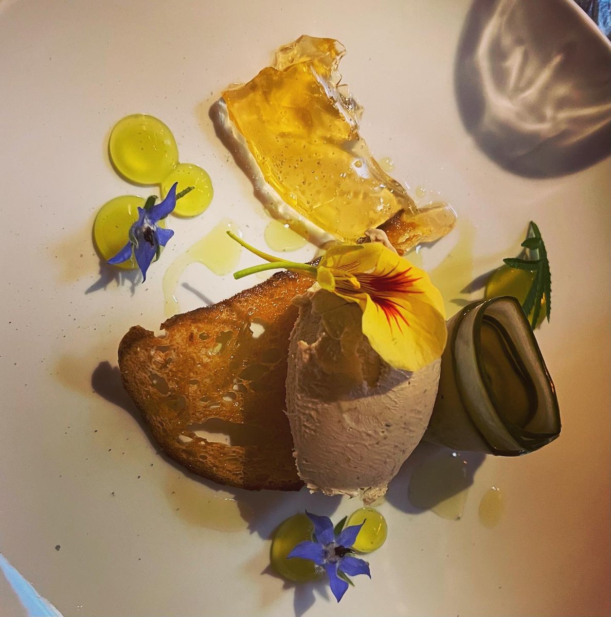 Maeve Quill tweet media