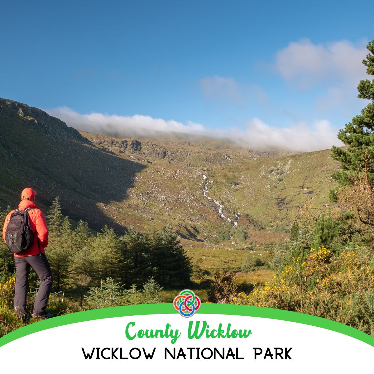 IrishUSAMom's tweet image. Did you know Ireland is home to some amazing national parks? Check them all out here in this post.
irishamericanmom.com/irish-national…
#Nationalparks #Ireland #VisitIreland #scenery #Hike