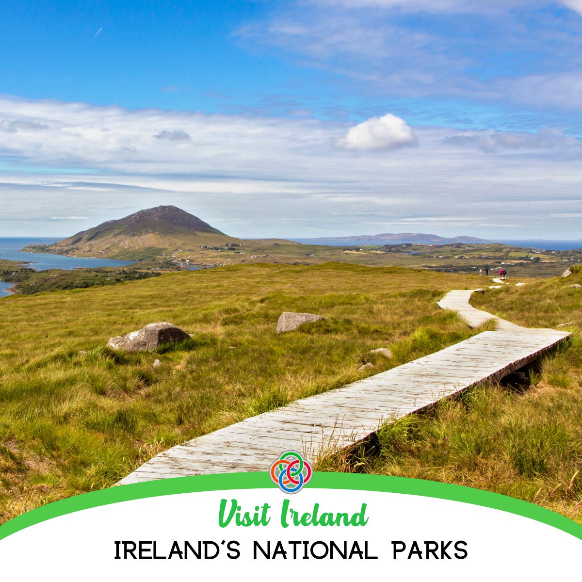 IrishUSAMom's tweet image. Did you know Ireland is home to some amazing national parks? Check them all out here in this post.
irishamericanmom.com/irish-national…
#Nationalparks #Ireland #VisitIreland #scenery #Hike