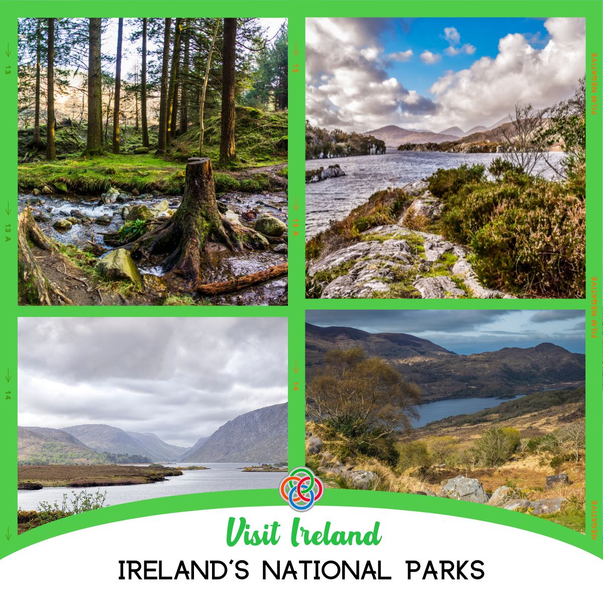 IrishUSAMom's tweet image. Did you know Ireland is home to some amazing national parks? Check them all out here in this post.
irishamericanmom.com/irish-national…
#Nationalparks #Ireland #VisitIreland #scenery #Hike