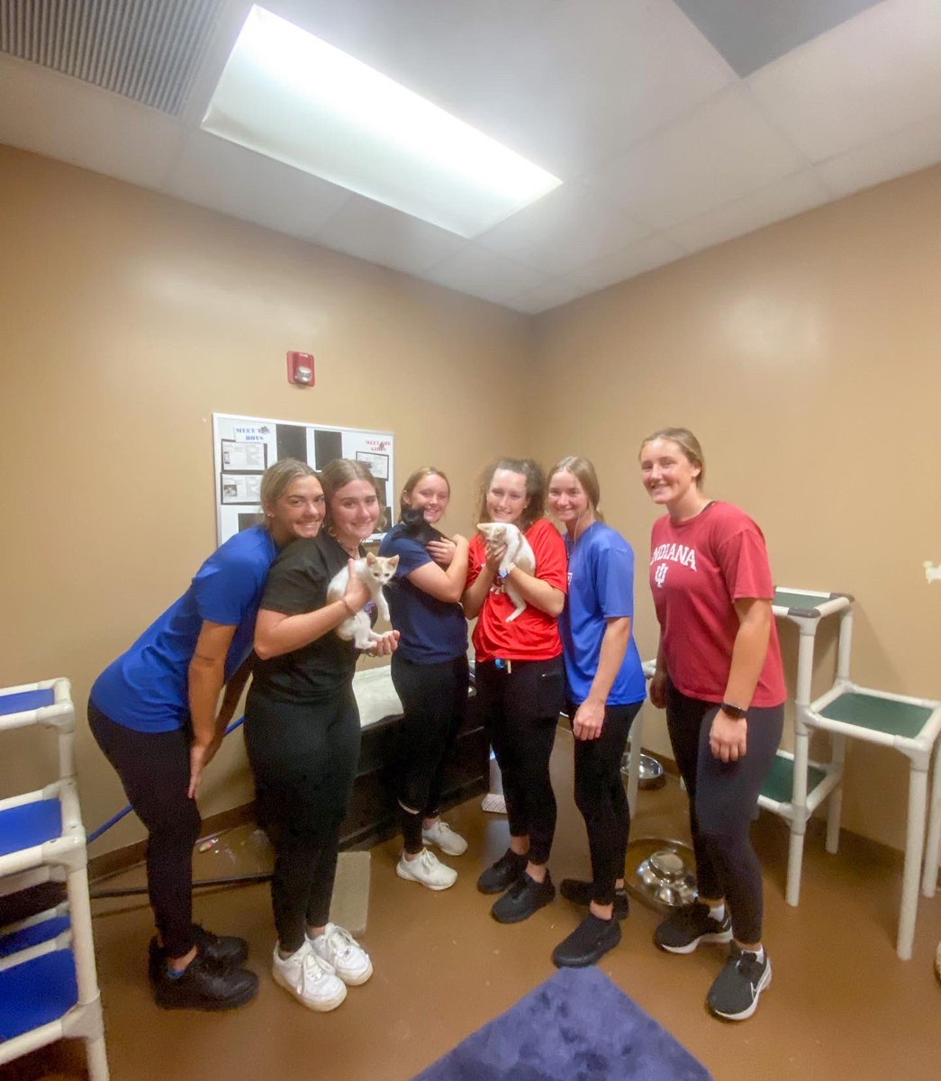 CF Softball (@cfpatssb) on Twitter photo We had a great time helping out <a href="/HumaneMarion/">Humane Society of Marion County</a> Thank you for having us! We had a great time helping out <a href="/HumaneMarion/">Humane Society of Marion County</a> Thank you for having us!