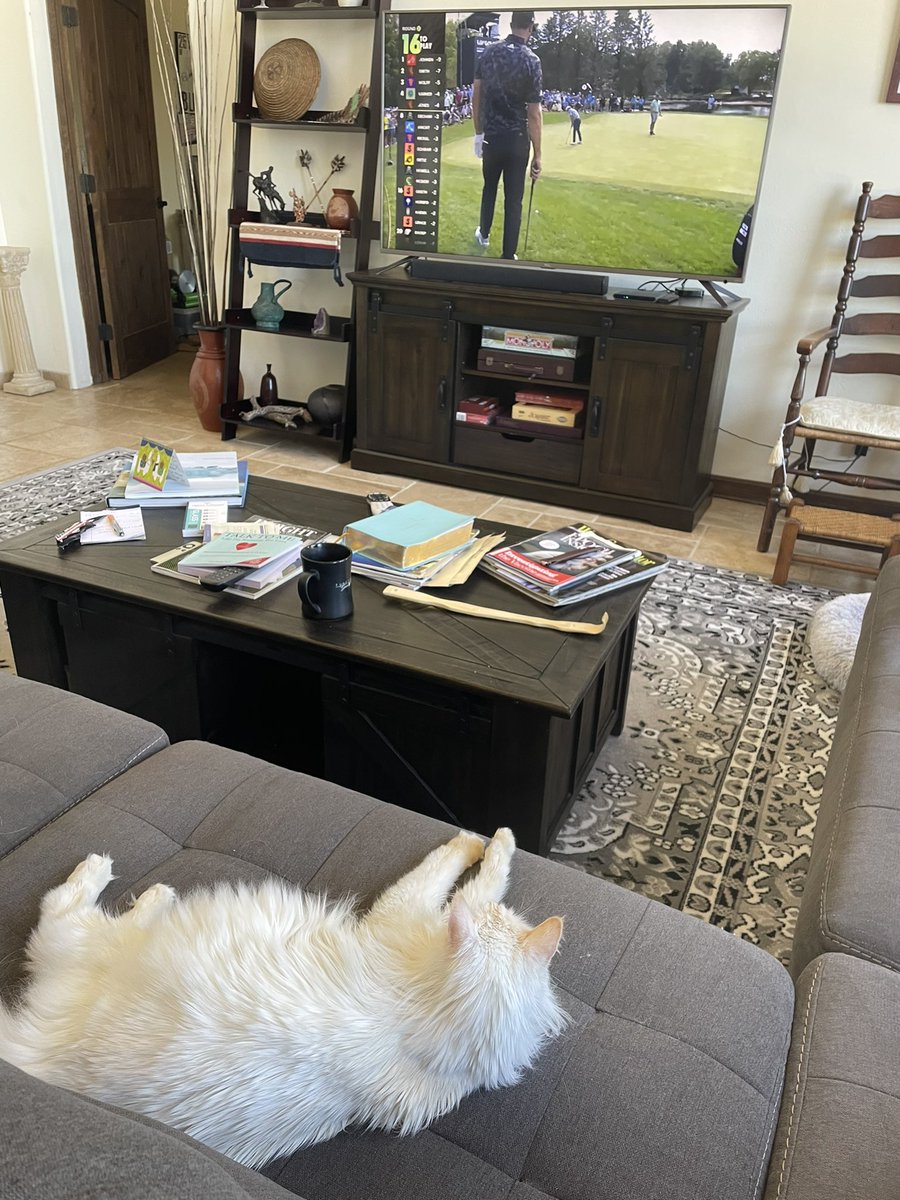 jimcanfield's tweet photo. @LIVGolfInv Even the cat loves watching LIV Golf!! https://t.co/rLAQCClsM6
