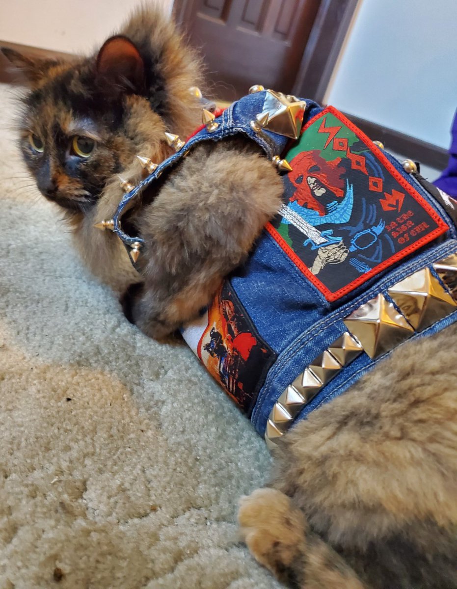 BloodLikeRain's tweet photo. Another set of cat's vest featuring two of my releases. Sodomy and cats.
#metaljacket #battlejacket #patchdesigner #bloodlikerainpatches #Sodom #CatsBattleVest #Cats https://t.co/vkHPcwawK1