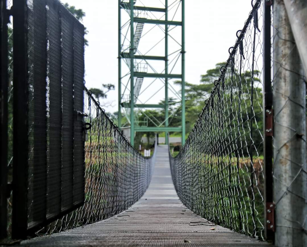 east_facts's tweet photo. FACT: A second Bungee jumping facility has been opened in Jinja eastern Uganda.

It's along the Nile River. https://t.co/ocn5jEYnSx