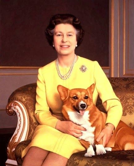 💛The queen loved animal world 💛
Do you love queen and her passion?
Comment please.....

#QueenRadio #QueenElizabethII #English #BritishEmpire #Queen #QueenElizabethIl #AnimalCrossing #AnimalLovers #animalrescue