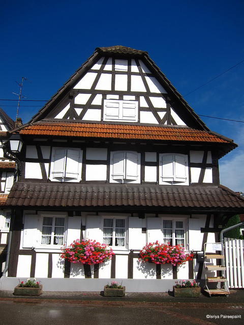 OuSortirEn's tweet photo. 🏡 Hunspach 67, l'Alsace de l'Outre-Forêt ! ❤️
L'une des particularités de Hunspach est que certaines de ses maisons ont gardé leurs vitres à verre bombé. À quoi cela peut servir ? À voir sans être vu !
> https://t.co/ZLEDPWQ3FL
#hunspach #alsace #ousortiren #quefaireen https://t.co/BgPtwN4G7V
