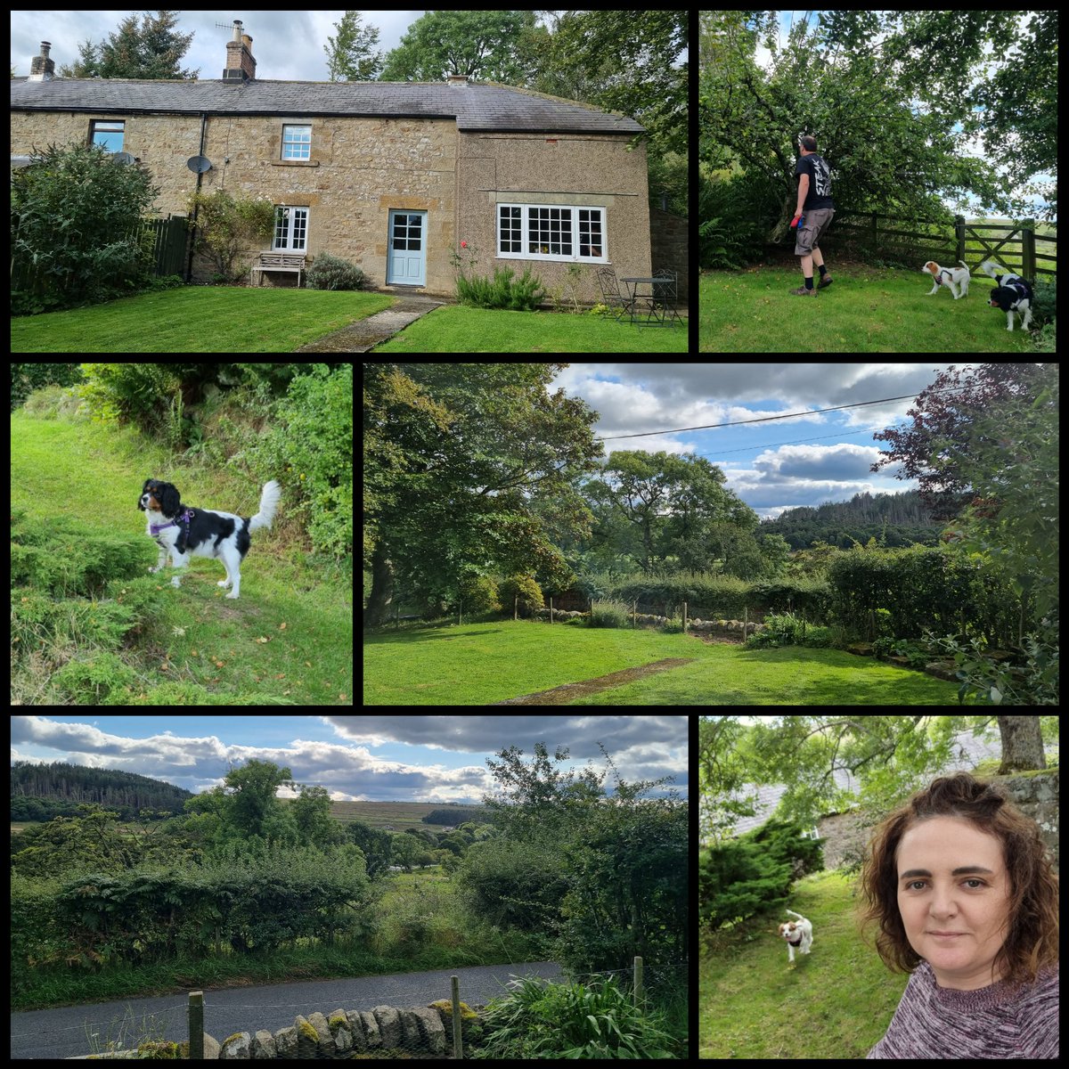 runawaygirl248's tweet photo. Love being back here again, so beautiful and peaceful π
This is home for a week π₯°πΎπΎ
#cottagebreak #northumberland #holidays #familytime https://t.co/8lg3144eTV