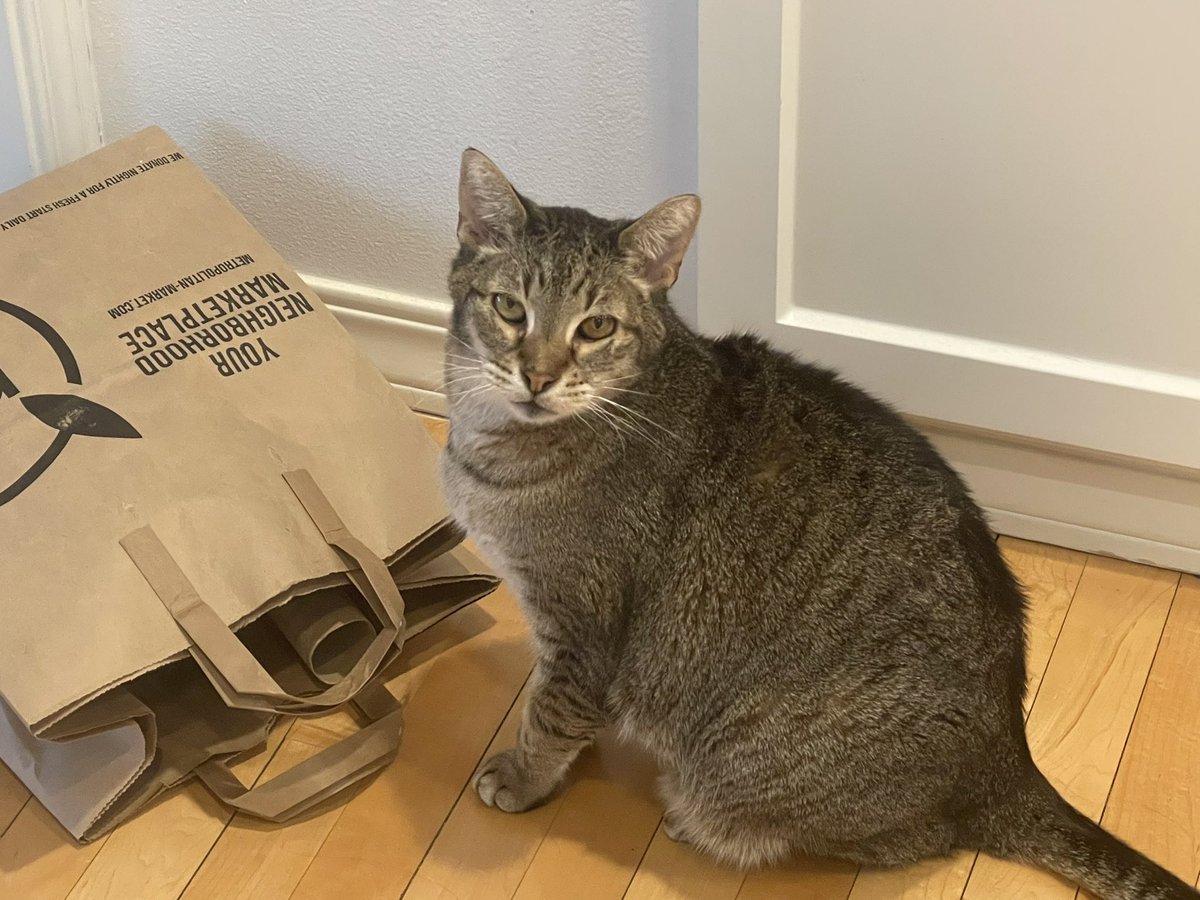 Katie🌻Moussouris (she/her/she-ra/she-hulk) 🪷 tweet media