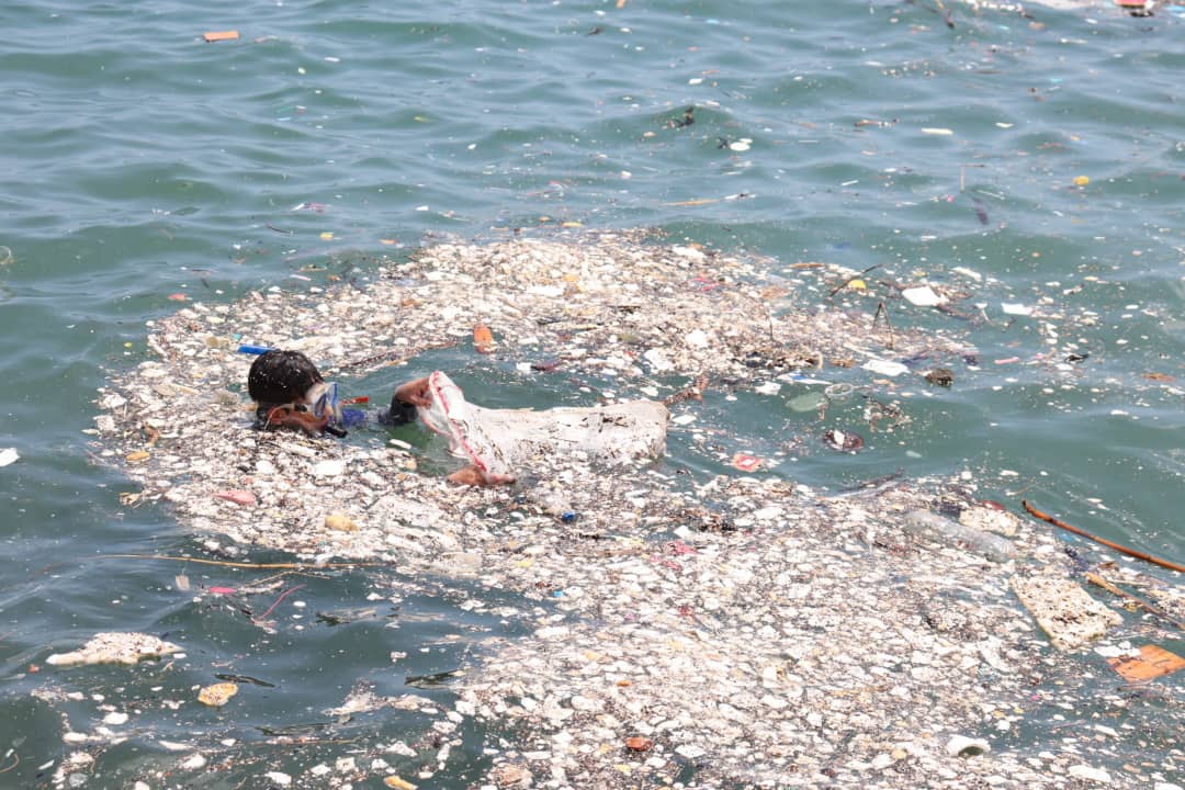 JorgeTajan3's tweet photo. 📅📢 Más de mil pescadores y voluntarios participaron en la limpieza de las playas en el estado La Guaira.
Hacemos esta campaña para mantener y resguardar nuestras playas.
#PlanPescaTuPlástico
#LaPazNosUne https://t.co/AExmLpZEbG