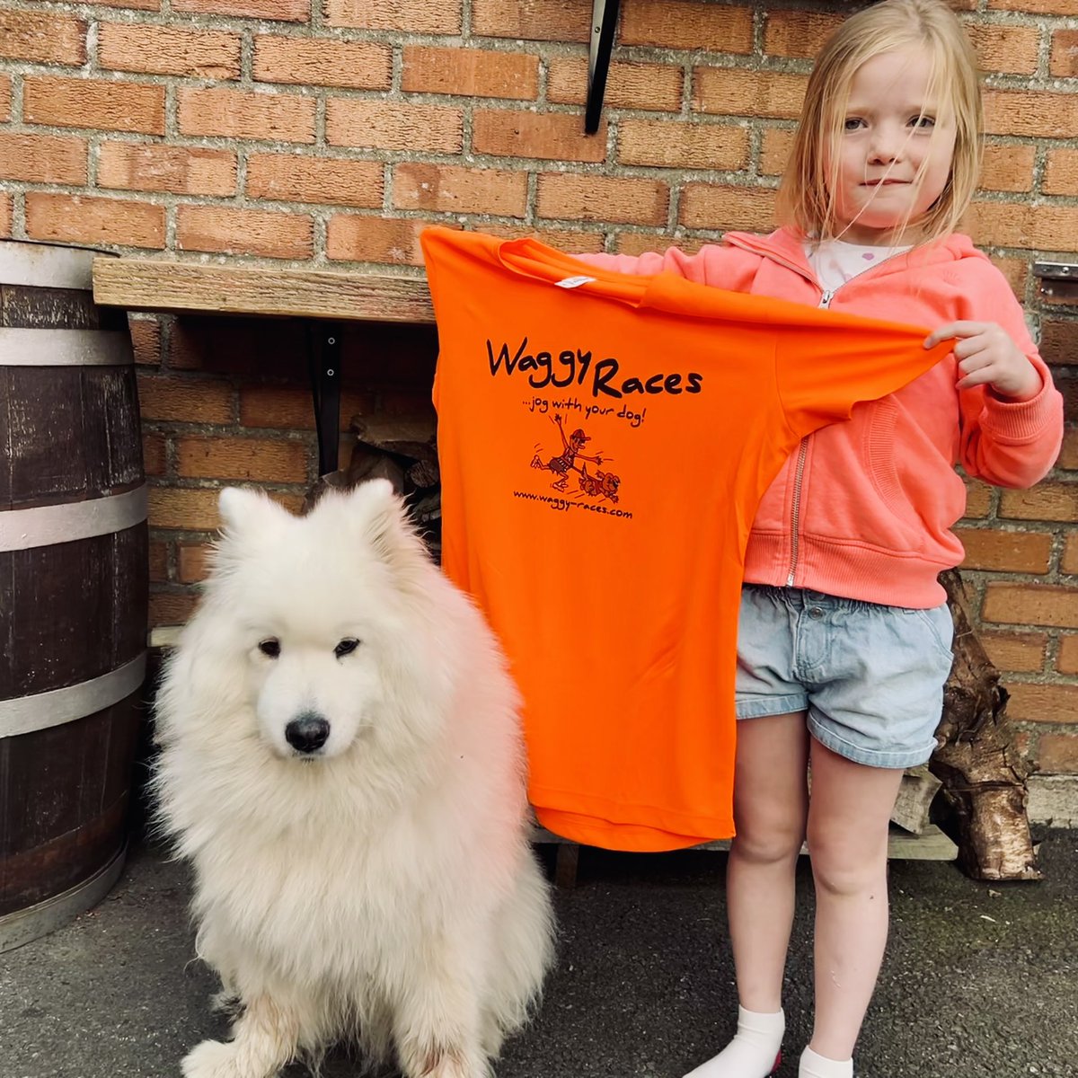 Waggy Races tweet media