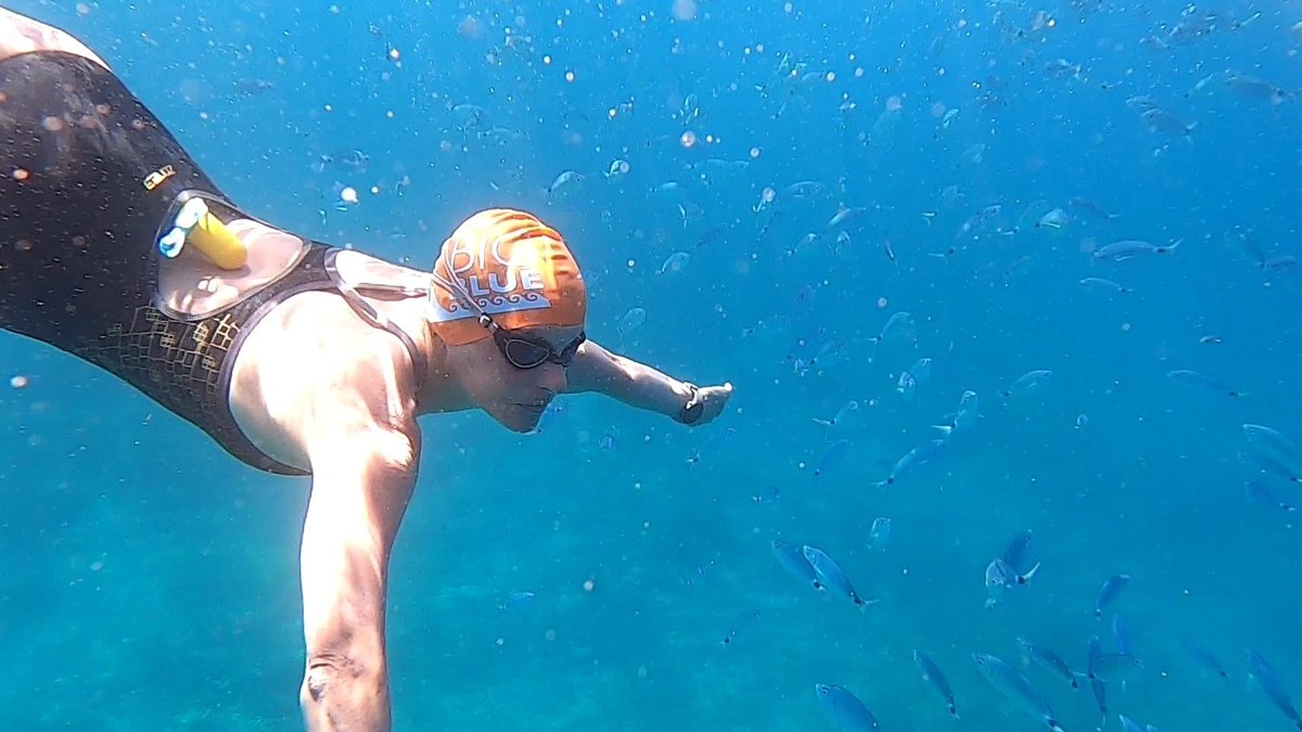 Take a deep dive! 

#swimmingabroad #swimmingholidays #swimmingingreece #openwaterswimmer #swimmingcommunity #greekislands #summer2022 #openwaterswimming #greece #greekholidays #summerholidayfun