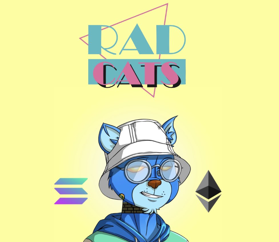 RadCats™️ tweet media