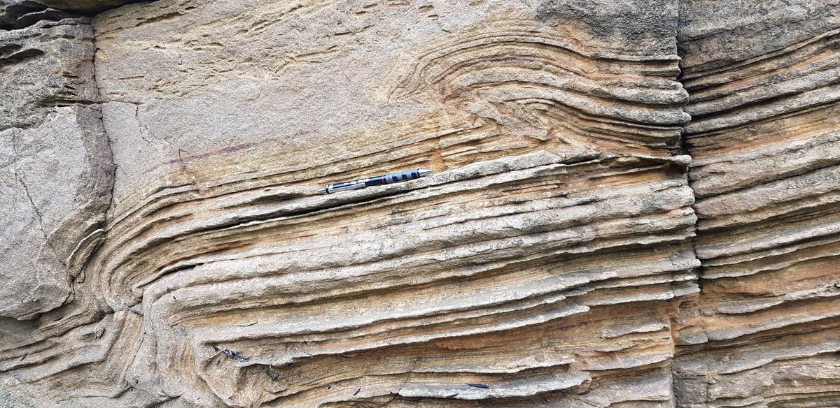 OUGS Scotland tweet media