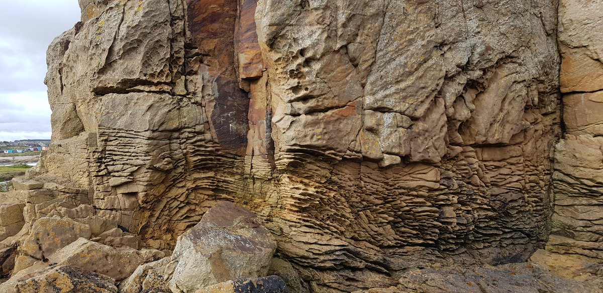 OUGS Scotland tweet media