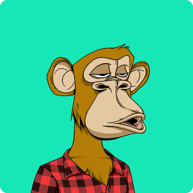 Toybirds tweet media