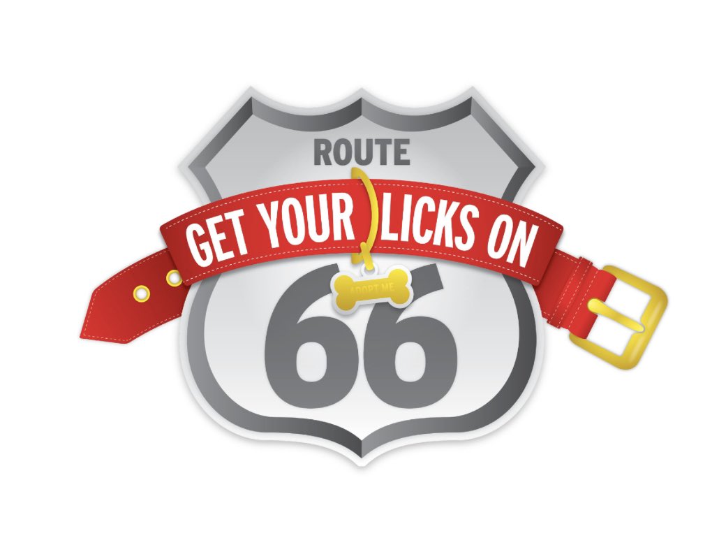 #GetYourLicksOnRt66 PUPdate - ... TODAY IN 𝐍𝐄𝐁𝐑𝐀𝐒𝐊𝐀 – Come Meet FIDO and help our mission to give every dog a home &amp; leave NO Dog Behind®! 

𝟗/𝟏𝟕 - 𝐎𝐦𝐚𝐡𝐚, 𝐍𝐄 — 11 am - 3 pm�Nebraska Humane Society�8929 Fort St.�Omaha, NE