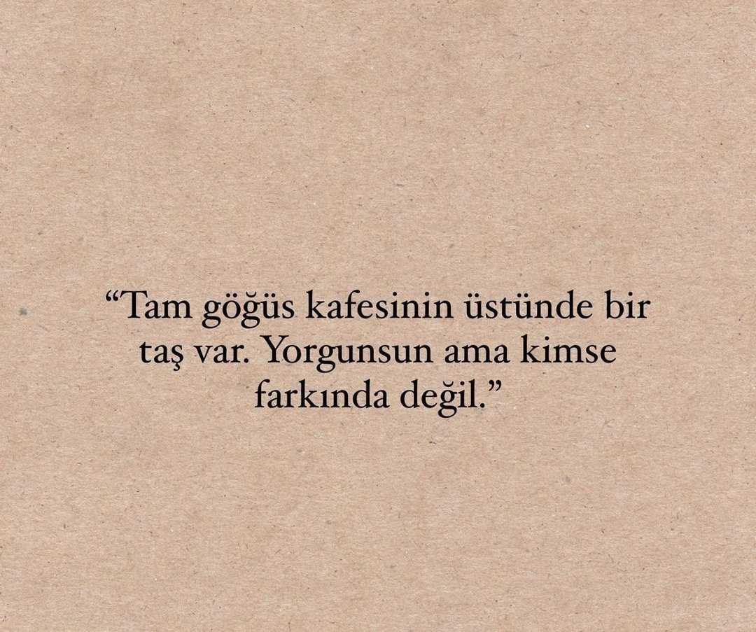 lale yalcın (@laleyalcn) on Twitter photo 