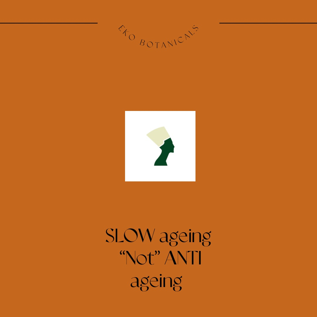 BotanicalsEko's tweet photo. A  SLOW-AGING APPROACH TO SKINCARE
Despite what the beauty industry says,  getting old isn’t something to run from, but something to aspire to. That’s why it’s EKÓs mission to advocate against the conversation around “anti-aging” skincare, and embrace a new mantra of w https://t.co/hsqPUwdOxW