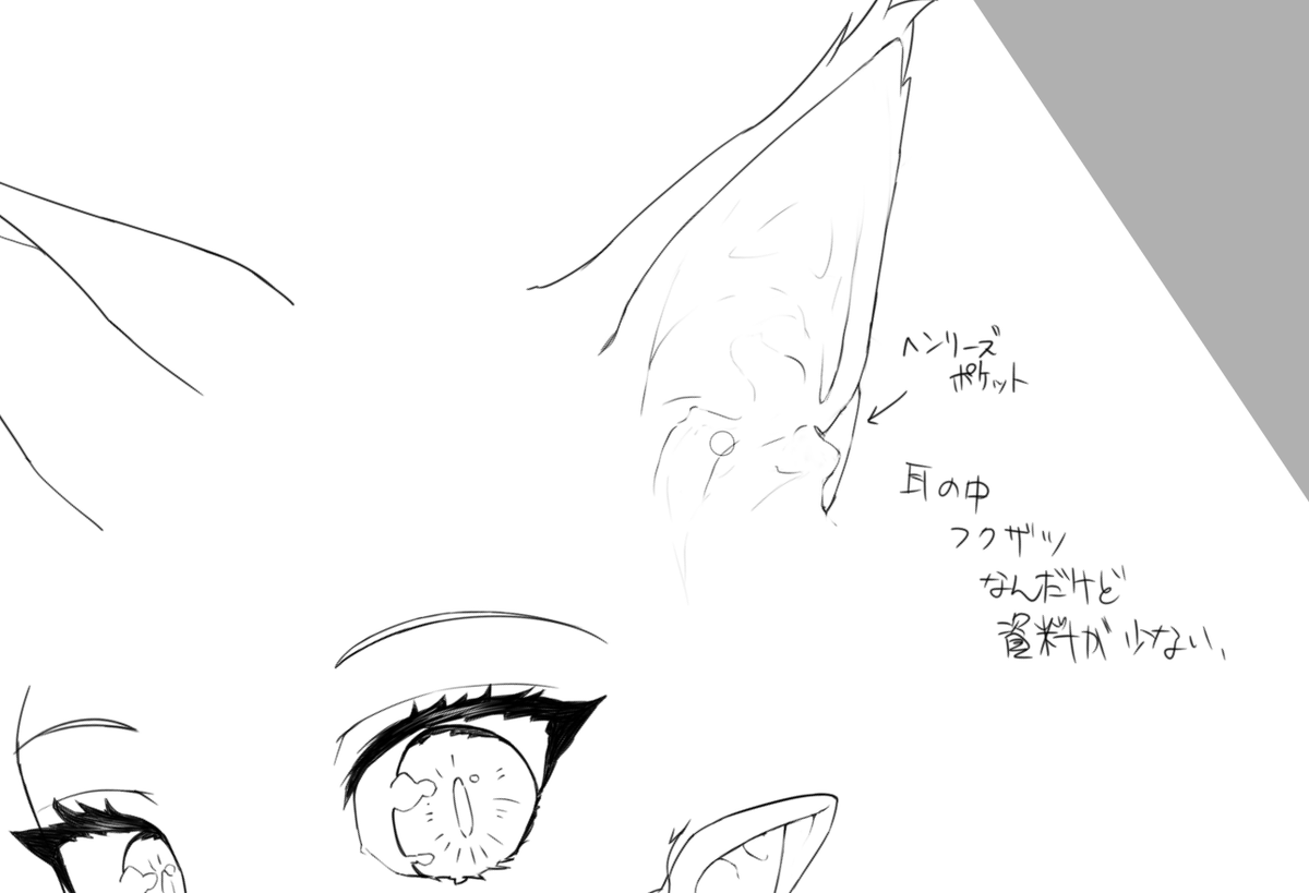 猫耳をキショく描くやつ 