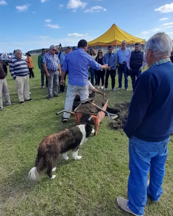 mp_ctes's tweet photo. El @CorrientesGob a través del ministerio de Producción y la @AgricyGanaderia entregaron plantines de nogales en #CuruzúCuatiá, #Esquina, #Goya, en el marco del proyecto #NuezPecán2022 https://t.co/ekKGyg8tdW