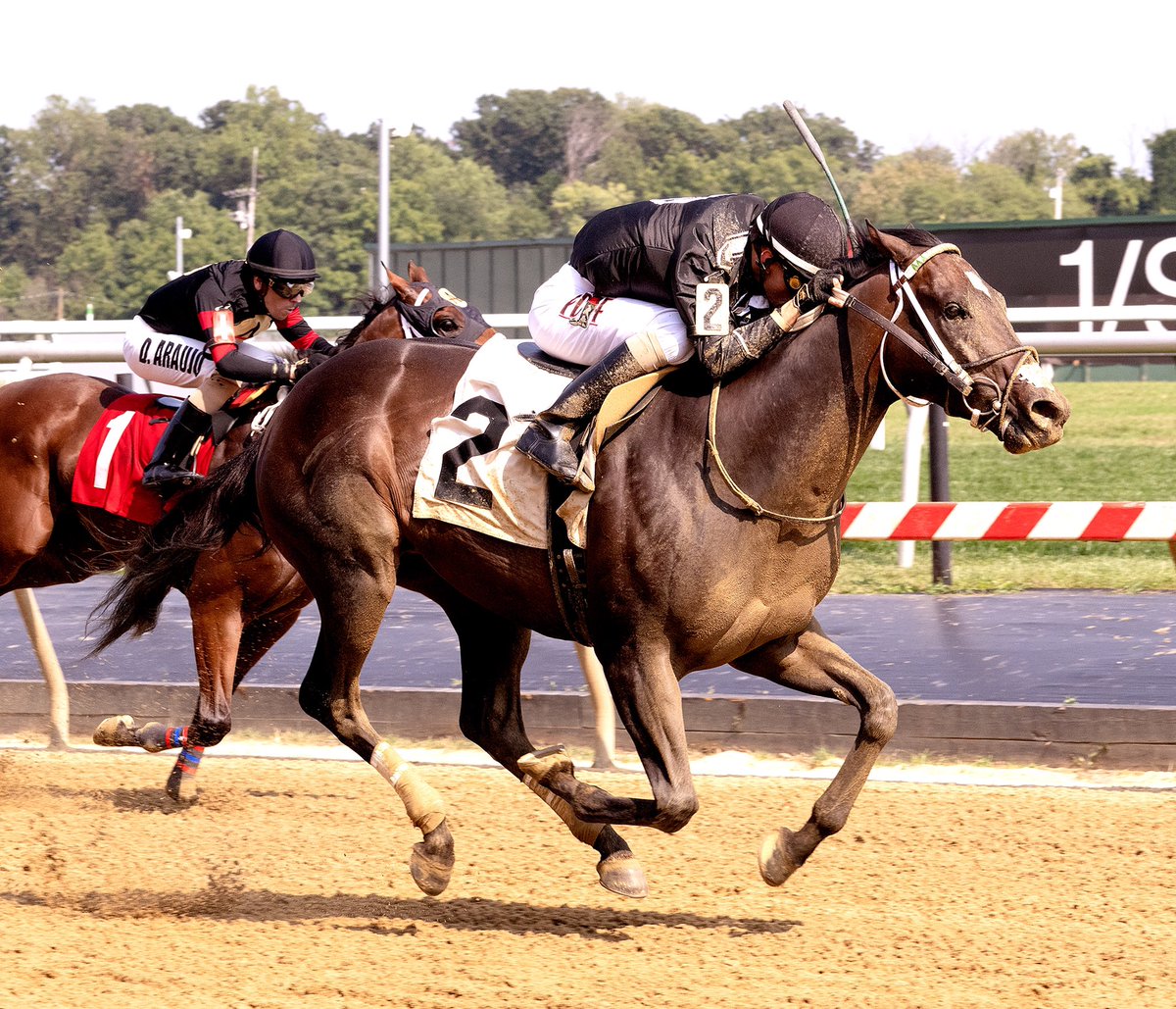 mdhorsemen's tweet photo. First-time starter Chocolate Shake rallies under @JockeyRosado to win 6F MSW @PimlicoRC. 4YO Twirling Candy gelding trained by @GaudetRacing for K E M Racing Stable. (Jim McCue 📷) https://t.co/l2DCSUIeXw