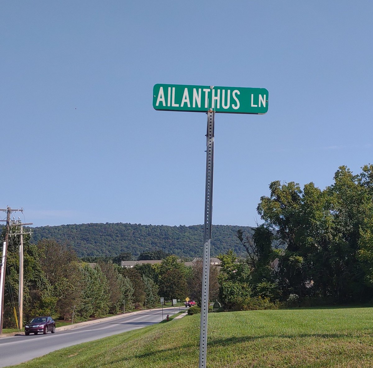 Not surprised to see these two near each other!