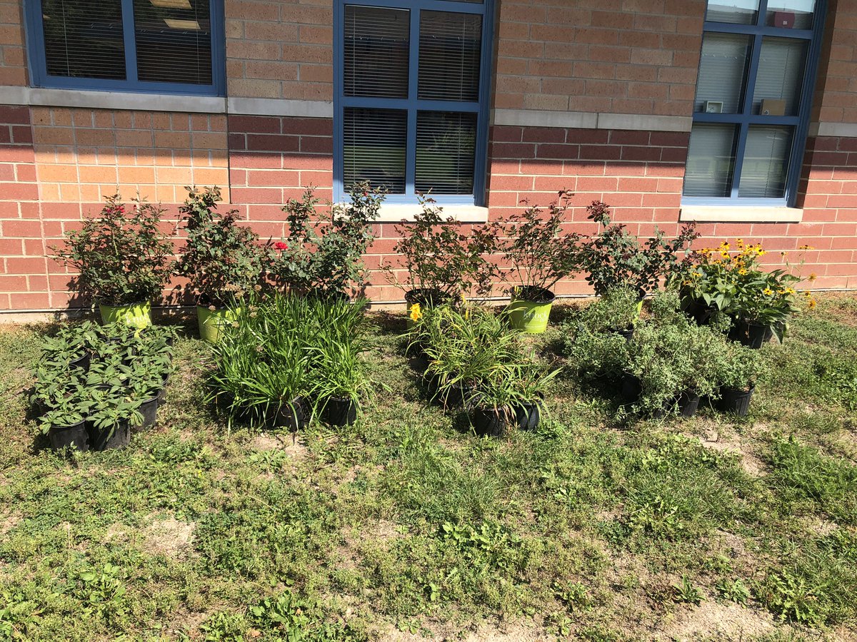 MissHoth's tweet photo. HUGE shout out to Balanced Environments Inc.! They spent time on their Saturday cleaning up @D34Hurricanes garden beds and donating plants to make our space look amazing! I can’t wait to plant the flowers in the coming days. https://t.co/TfaGfmcXgs