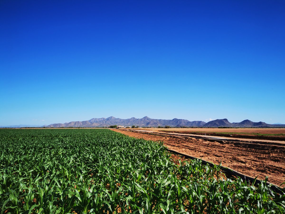 FAO Director-General QU Dongyu tweet media