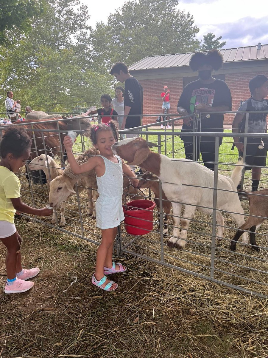 The Reisterstown Festival tweet media