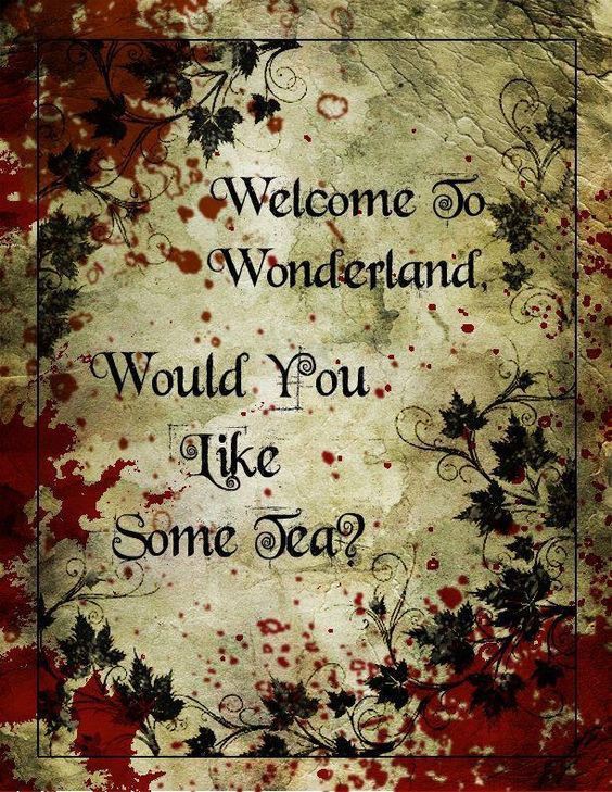 daly insaf tweet media