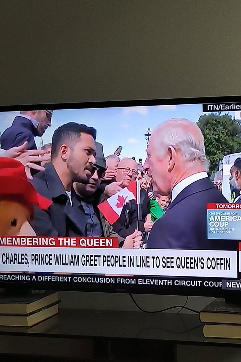 InRodWeTrustMTL's tweet photo. Lotta Canadian flags along the #QueueE2! And although this looks negative, it was respectful and positive throughout. The Royals stopped to chat with several Canadians. #cdnpoli #KingCharlesIII https://t.co/f2DghIqoAh