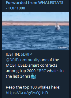 DRIPcommunity's tweet photo. $DRIP is the most used independent smart contract ecosystem in #DeFi‼️

Independent meaning we arent getting all of our volume from severing other platforms, such as a #DEX &amp; we have a killer 2022/23 roadmap💦💪 

Join us:
https://t.co/PQRdg8iV4v

#cryptotwitter #BSC #CryptoNews https://t.co/Stujr9f7Kf