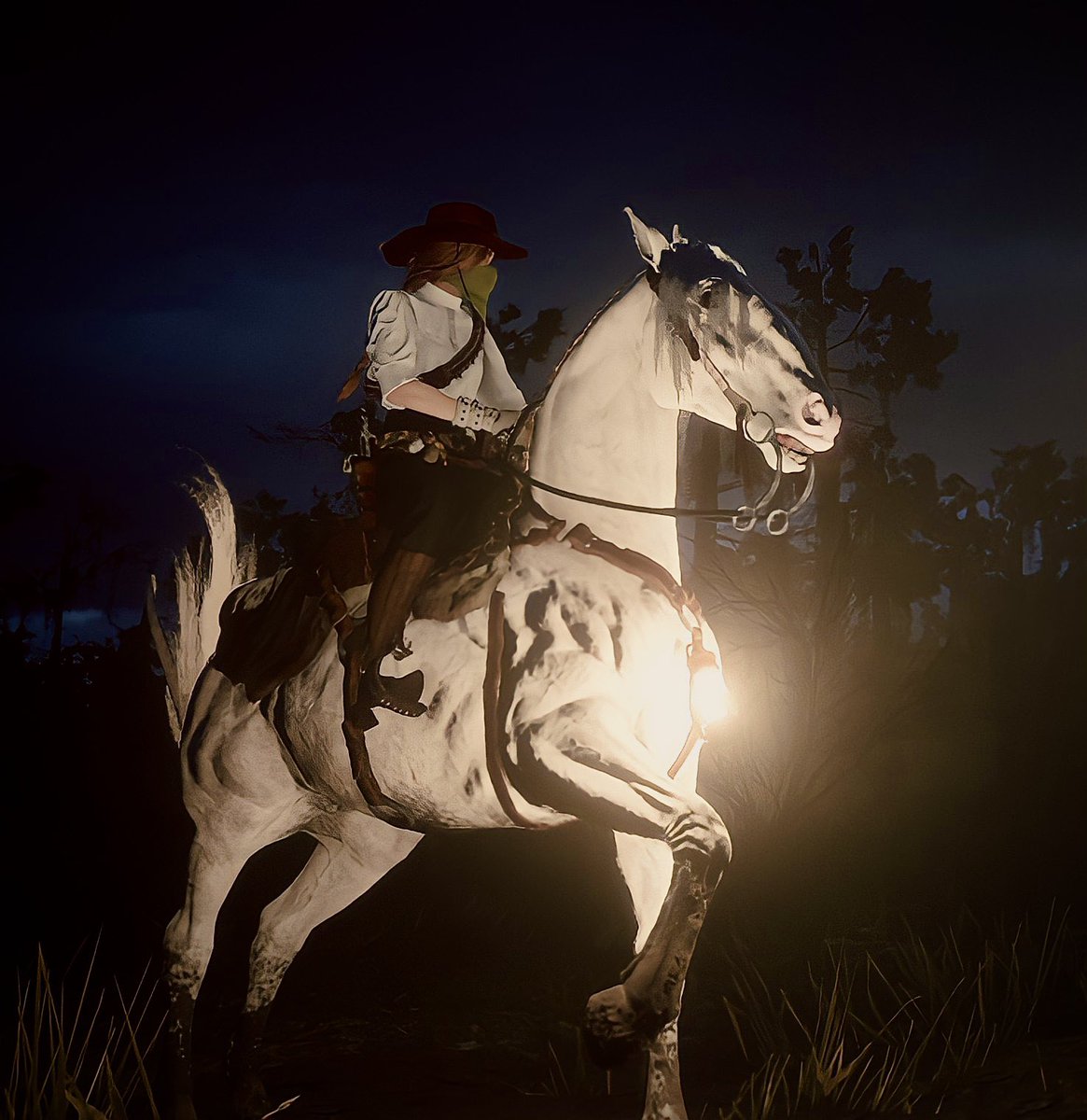 ninnixss's tweet photo. #SaveRedDeadOnline https://t.co/LenizG2zW7