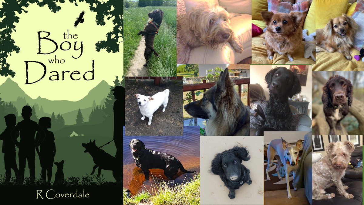 RLCoverdale's tweet photo. Who knows the Welsh legend of Gelert? (Without Googling!)
The story is nested within my next novel "The Boy Who Dared" available from 1 October 2022
#booklaunch #doglegends #writingcommunity #Welshlegends #animalcruelty #animalrescue https://t.co/9eOE8ZP6ec