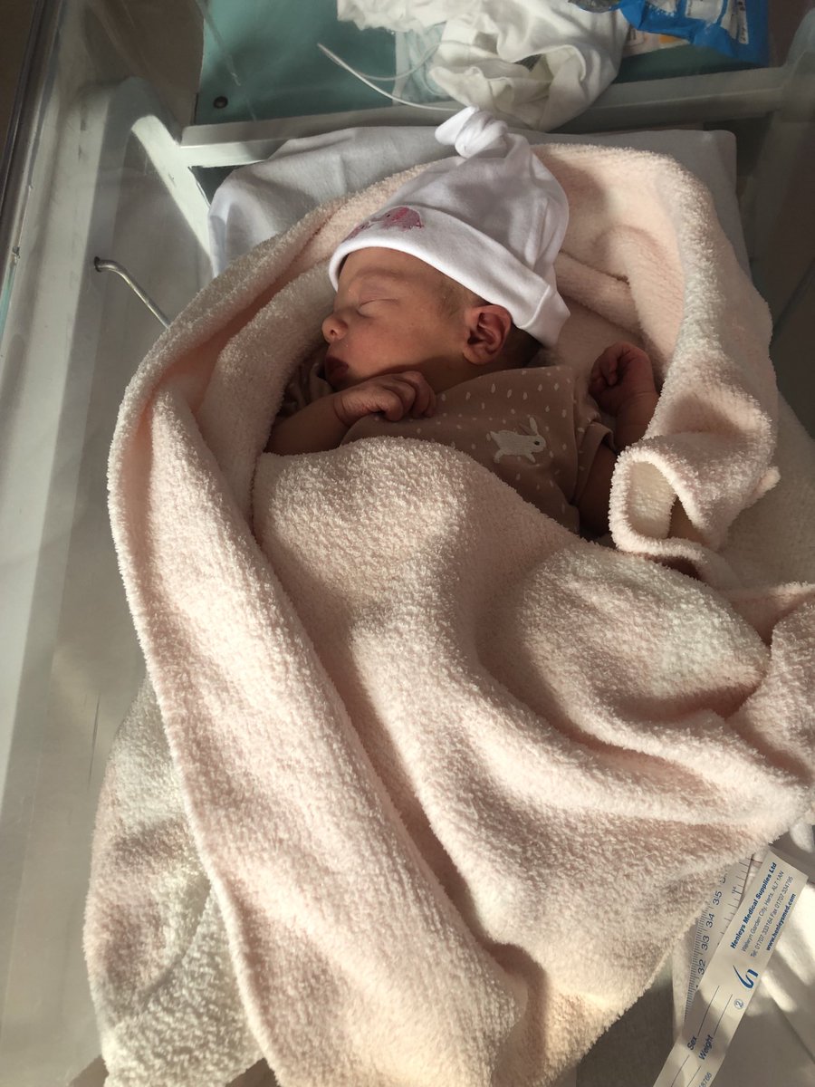 Annmarie Carvalho tweet media