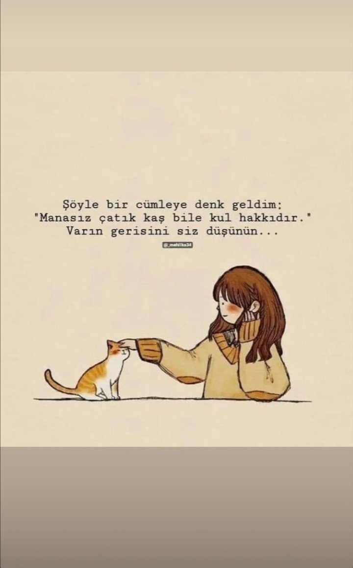 Yılmaz Erol (@ylmaz16569342) on Twitter photo 