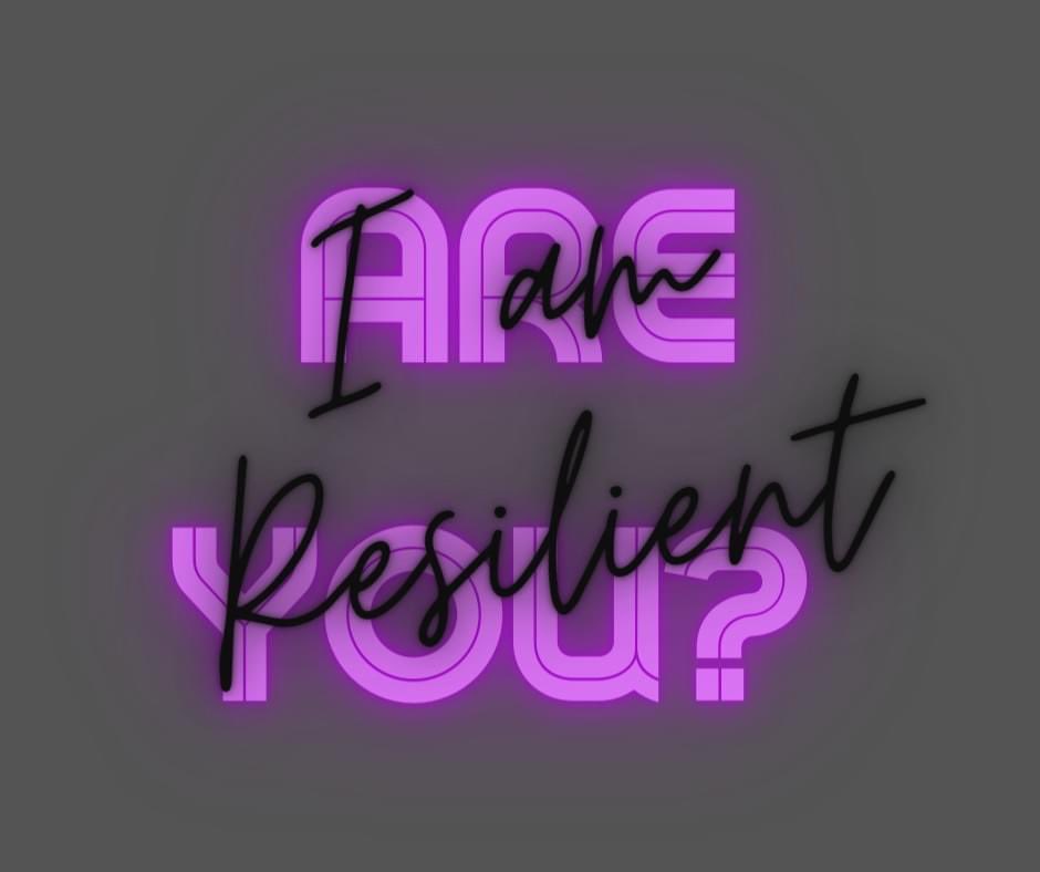 Misha Safran tweet media