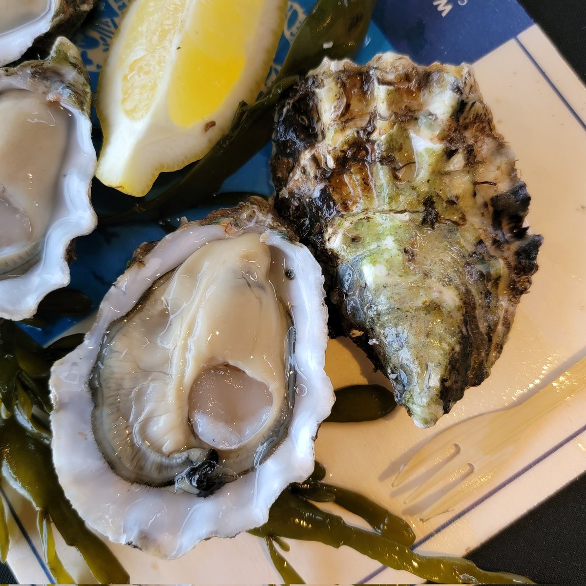 Oesterij Special from Yerseke, The Netherlands. Beautiful off-bottom cultured gigas species with a refreshing splash of brine, hint of seaweed, and toothsome sweet finish (thanks to that meaty adductor 💪). #oysters #oesterfestival
