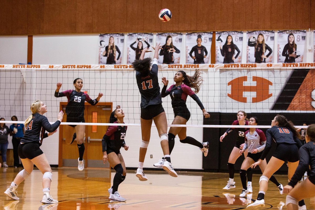 Monica Hamby (@monmariehamby) on Twitter photo It was so hard to choose some of my favorite shots from last night's epic battle between Hutto Lady Hippo Volleyball and Weiss. There was a million shots to choose from when it was all said and done. <a href="/huttovball/">Hutto Volleyball</a> @huttoisd <a href="/hippoathletics/">Hutto Hippo Athletics</a> <a href="/huttohippo/">Hippo Nation</a> <a href="/Hutto_spirit/">HHS Spirit</a> It was so hard to choose some of my favorite shots from last night's epic battle between Hutto Lady Hippo Volleyball and Weiss. There was a million shots to choose from when it was all said and done. <a href="/huttovball/">Hutto Volleyball</a> @huttoisd <a href="/hippoathletics/">Hutto Hippo Athletics</a> <a href="/huttohippo/">Hippo Nation</a> <a href="/Hutto_spirit/">HHS Spirit</a>