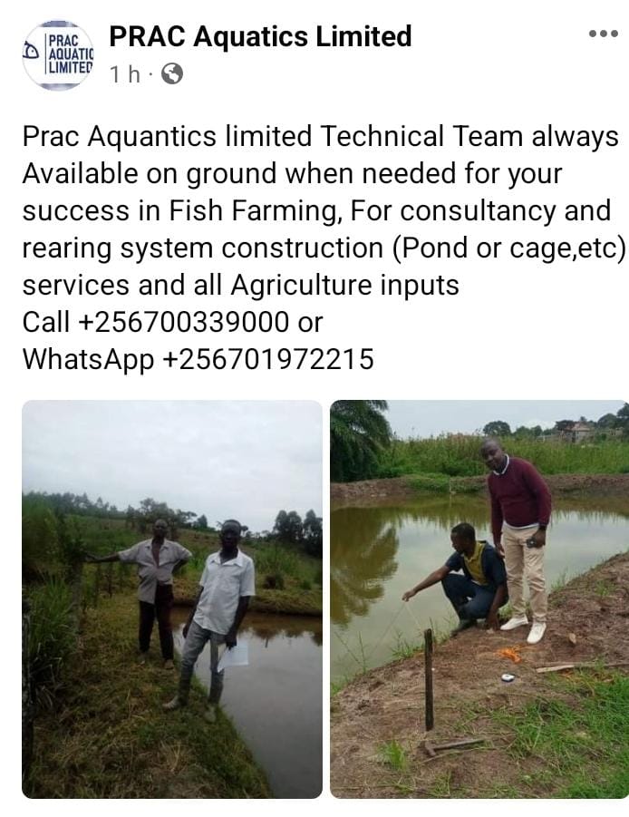 DodovickK's tweet photo. PRAC Aquatics Limited @PRACAquatics, a company dealing and offering services in #fishfarming and all agricultural inputs.

Please I kindly request you to retweet (support) this hustle 🙏🏼.
Thank you. 
May you achieve all your desires🤲
#fishfood #fish #pond #agrifish #agriculture https://t.co/R3xwc0sQSV