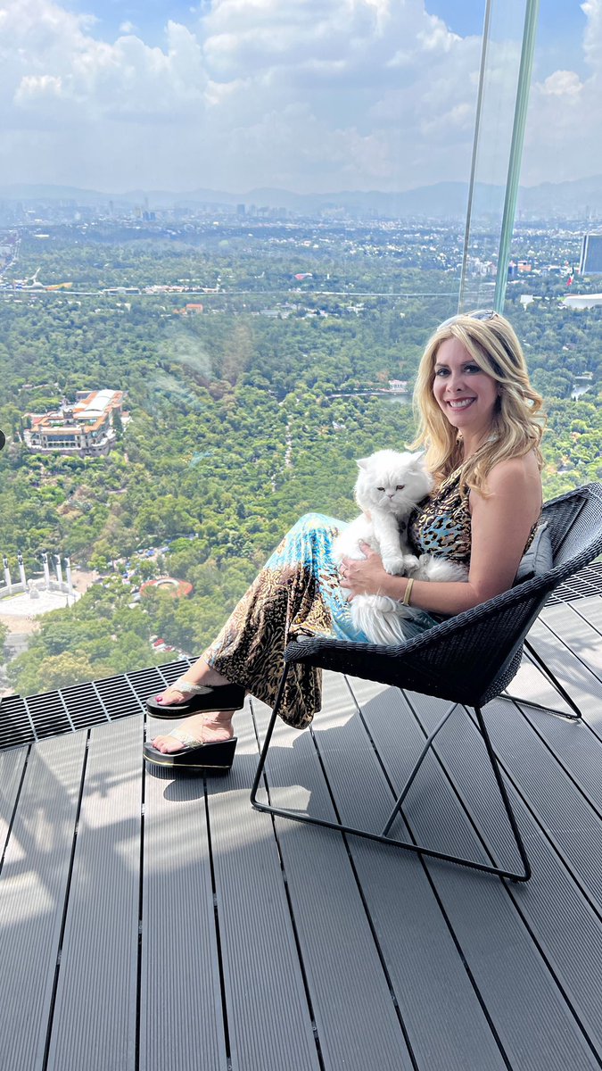 #FelizSabado #HappySaturday 🐱