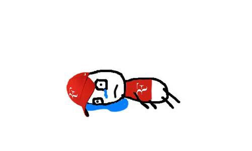 Federer fans