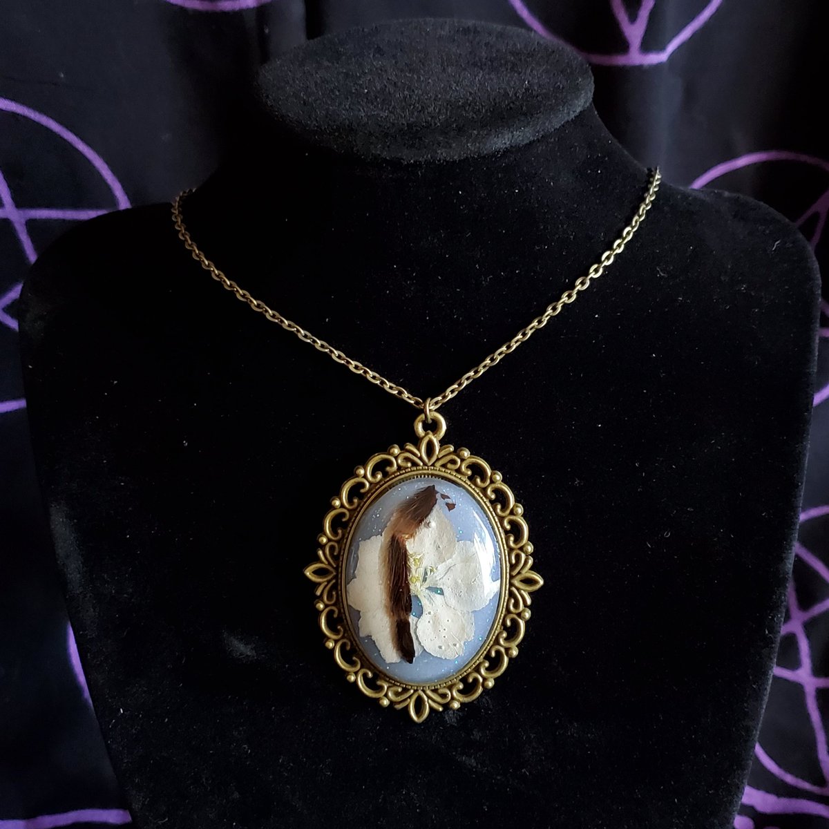 Site update is now liveeee 

novascurios.myshopify.com