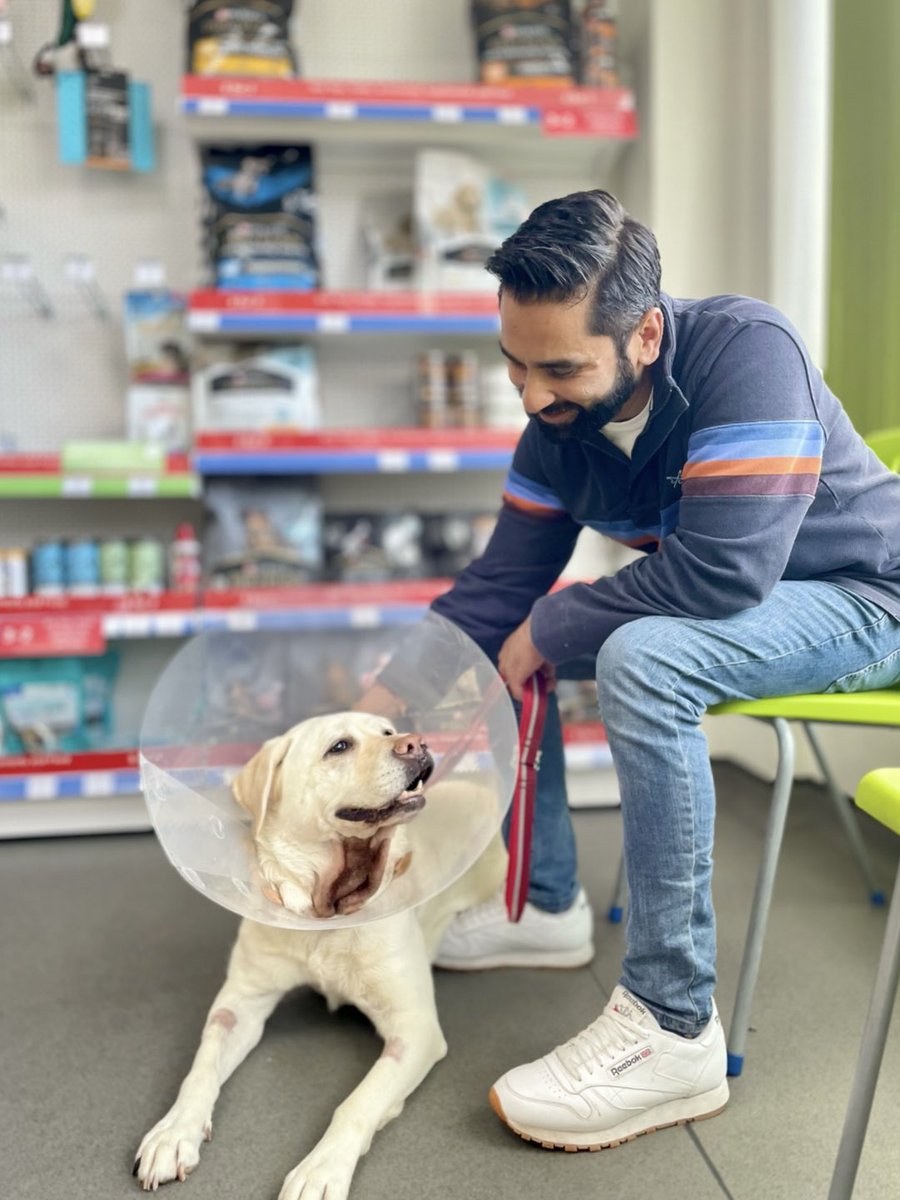 Taken in the waiting area at the vets, Amit is sat on a chair looking down at Kika who is laid on the floor across his foot. Kika is looking up at Amit adoringly, we can see her neck which has been shaved and is now a pink and brown colour against her white fur and she is still wearing a large plastic cone around her neck.