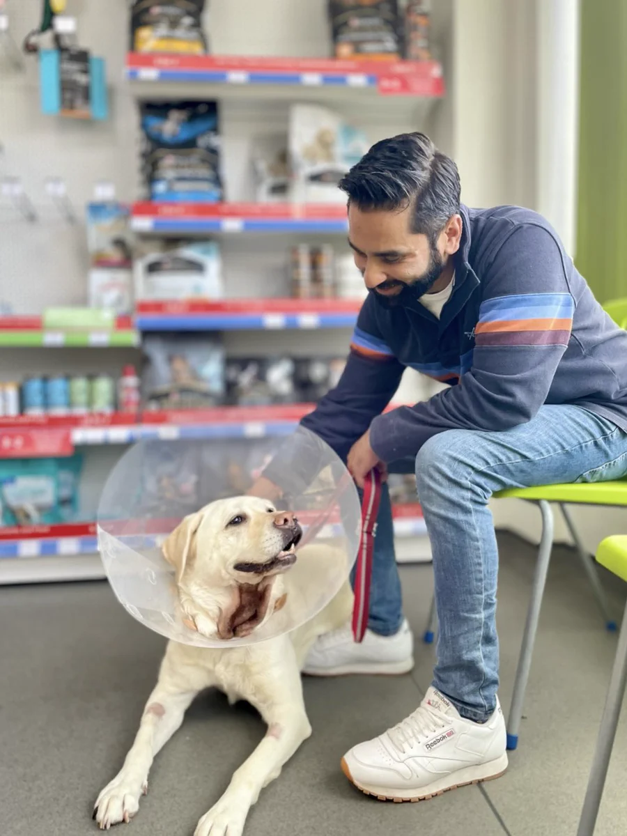 Taken in the waiting area at the vets, Amit is sat on a chair looking down at Kika who is laid on the floor across his foot. Kika is looking up at Amit adoringly, we can see her neck which has been shaved and is now a pink and brown colour against her white fur and she is still wearing a large plastic cone around her neck.